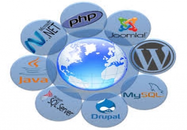 Website Development In Any programming Language