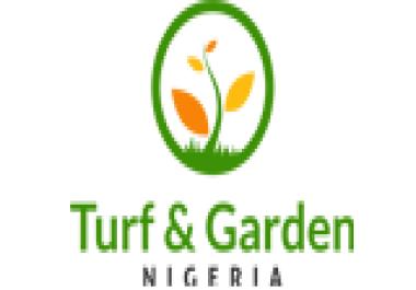 I Will Design Your Website/Blog Logo For An Affordable Price