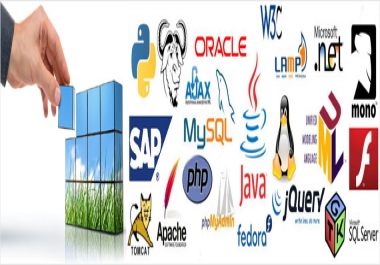 Professional Website Designing Services By Designing Contract