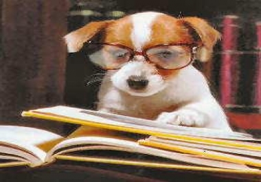 Write 2 Killer,  Persuasive,  SEO Blog Post,  Article or webpage