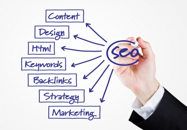 Create professional SEO report within 3Days