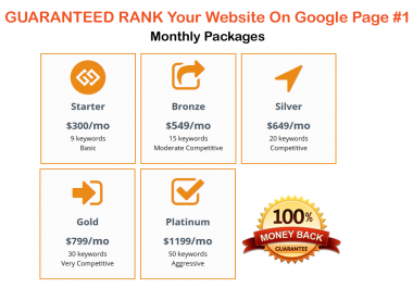 GUARANTEED RANK your Website On Google Page #1,  Monthly Package