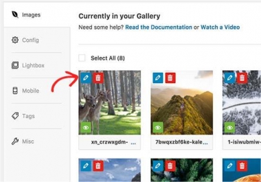 Wordpress, Wordpress theme customization, Blog website