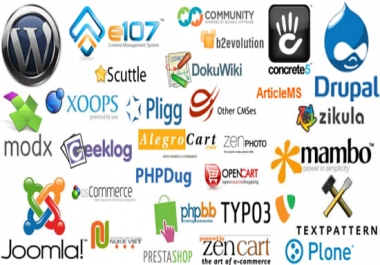 Install Any Type Of Script