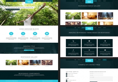 Redesign and develop Wordpress and core Website with SEO
