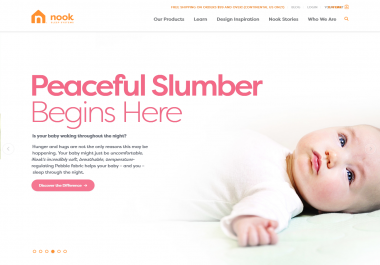 Website Development and design for all kind of business needs