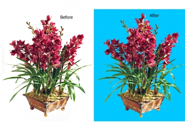I do 3 clipping path and Background Remove