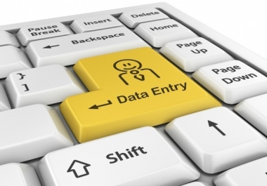Any Kind of Data enty in Excel 5 hours