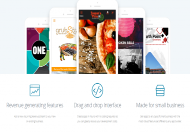 I will Teach you how to Build Your Own Mobile App Company with Domain include