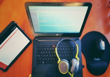I provide Data Entry Work service