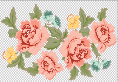 Background Removal Professionally Any Images Quickly