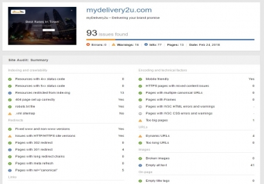 Full SEO Website Audit,  find Errors and provide an actionable report