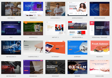 Build Fully Professional Wordpress Responsive Website