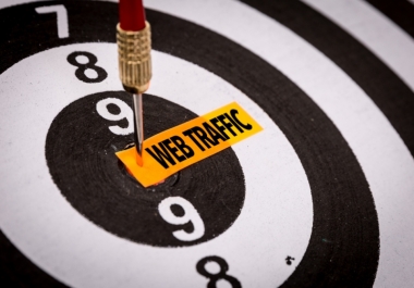 10,000 Real Human Traffic To Your Website