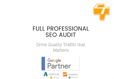 Full Professional SEO Audit