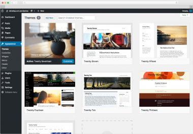 Build A Professional WordPress Website For You.