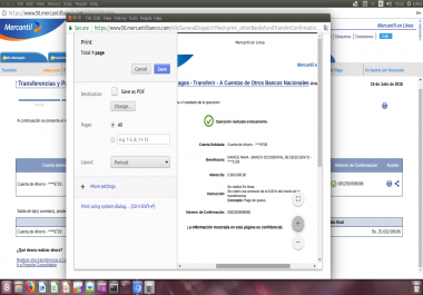 Virtual Assistance - Spanish and English