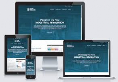 I will create a professional wordpress website