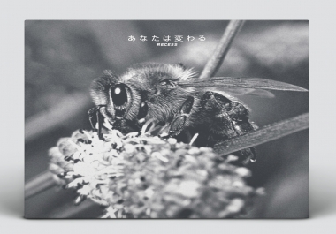 Design An Album Cover or single