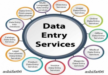 Do data entry work 500 entries