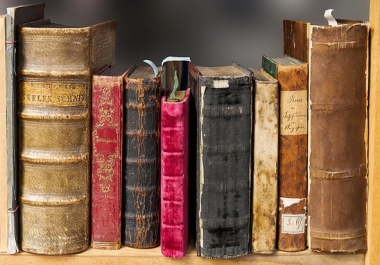Blog or Article Posts Written for You