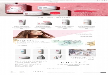 Design Your Complete Shopify Store Shopify Website